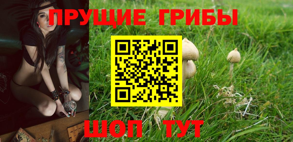 Псилоцибиновые грибы MAGIC MUSHROOMS  Вход с VPN  Псилоцибиновые грибы GOLDEN TEACHER  Нальчик 